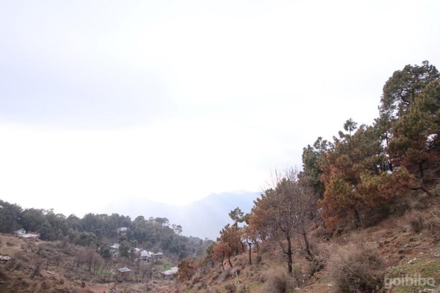 Dlx Stay In Naddi Dharamshala Extérieur photo